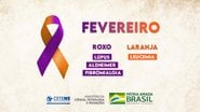 Campanha Fevereiro Roxo e Laranja