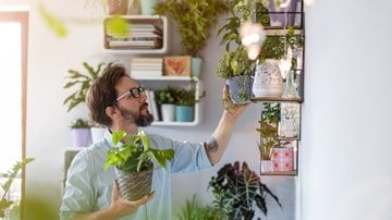 5 benefícios das plantas que vão mudar seu estilo de vida - Imagem: PIKSEL/iStock