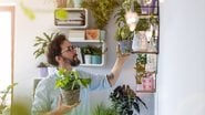 5 benefícios das plantas que vão mudar seu estilo de vida - Imagem: PIKSEL/iStock