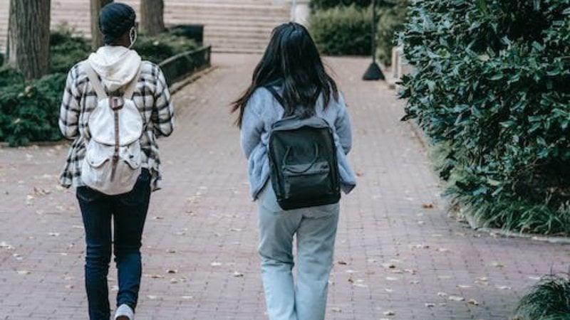 Brasileiros podem se inscrever para bolsas de estudos no Canadá, EUA e China - Foto: Pexels