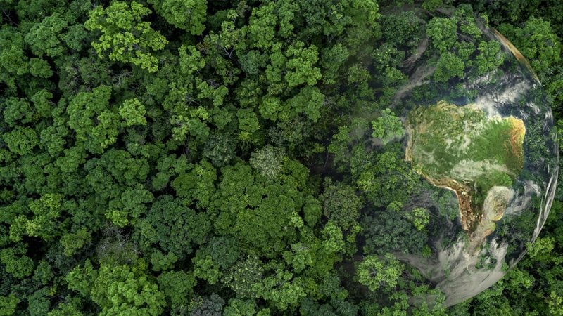 O Dia da Natureza é uma oportunidade de repensar sobre nosso modelo de vida e consumo. - Imagem: AvigatorPhotographer/iStock