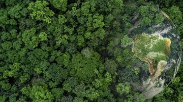 O Dia da Natureza é uma oportunidade de repensar sobre nosso modelo de vida e consumo. - Imagem: AvigatorPhotographer/iStock