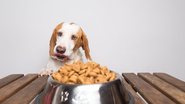 Existem um número de comidas que os nossos cãezinhos não podem comer. - Eloy-CM/ iStock