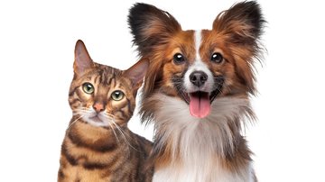 Saiba coisas sobre os seus pets que podem te deixar de queixo caído! - (Eriklam / iStock)