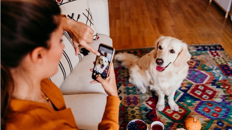 Essas frases podem ajudar você a encantar as suas redes sociais. - (Eva Blanco / iStock)