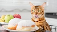 Os gatinhos podem comer algumas frutas, será que mamão é liberado? - Svetlana Sultanaeva / istock