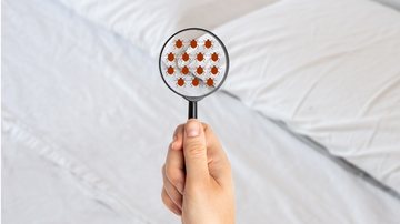 Essas dicas podem ajudar você a manter a sua casa livre desse parasita. - (Cunaplus_M.Faba / iStock)