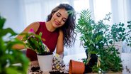 Saiba quais plantas você pode comprar sem medo para embelezar a sua casa! - (dragana991 / iStock)