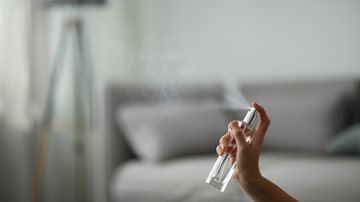 Os perfumes para casa são práticos para manter o ambiente cheiroso. - Liudmila Chernetska / istock