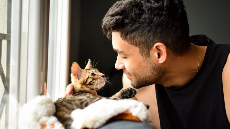 Veja os sinais que apontam que seu gato te ama. - Raphael Angeli / istock