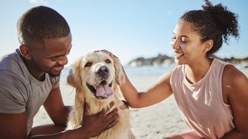 Veja quais raças de cachorro mais combinam com o seu signo. - PeopleImages / istock