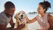 Veja quais raças de cachorro mais combinam com o seu signo. - PeopleImages / istock