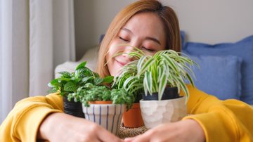 As plantas precisam de alguns cuidados no calor. Veja quais são eles. - Farknot_Architect / iStock