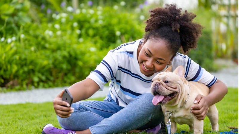 Os filhotes de cachorro são rodeados de curiosidades interessantes. - Akarawut Lohacharoenvanich / istock