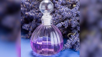 O Brasil tem excelentes opções de perfumes de lavanda. - barmalini/ iStock