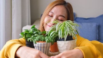 Essas plantas vão trazer um ar diferenciado para a sua casa. - Farknot_Architect/ iStock