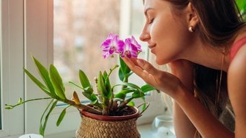 Descubra como aromas simples podem ser poderosos aliados no combate à depressão. - Imagem: Maryviolet / iStock