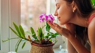 Descubra como aromas simples podem ser poderosos aliados no combate à depressão. - Imagem: Maryviolet / iStock