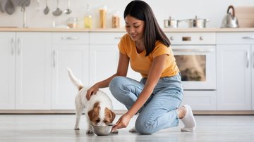 Faça o seu pet bem feliz com essas receitas. - Prostock-Studio/iStock