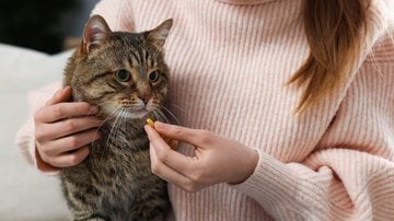 Veja se este medicamento é indicado para os felinos - Liudmila Chernetska / iStock