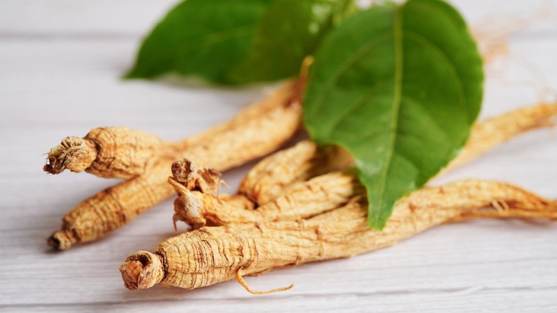 O ginseng é uma erva amplamente utilizada na medicina oriental e vem se popularizando cada vez mais. - (manassanant pamai / iStock)