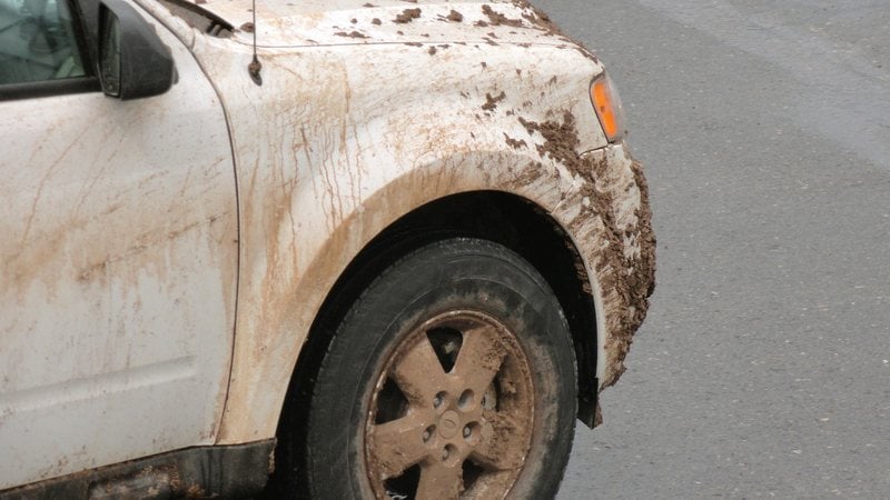 Mantenha seu carro limpo e evite surpresas desagradáveis. - bensib / iStock