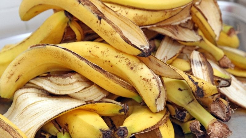 Não jogue mais a casca de banana no lixo! - Imagem: ChiccoDodiFC / iStock