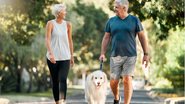 Cuidados importantes para ter antes de um passeio com seu pet. - PeopleImages / istock