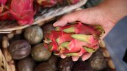 Aprenda a ver se pitaya está própria para consumo. - (blowbackphoto / iStock)