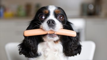 Entenda se a salsicha faz mal para o seu cachorro. - fotyma / iStock