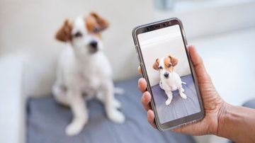 Confira dicas de como armazenar memórias do seu pet. - beavera/ iStock