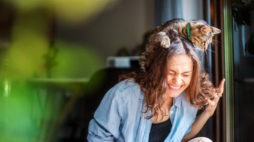 Veja como ensinar novos truques para o seu pet. - Olezzo / istock