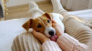 Redobre os cuidados com o seu pet durante o frio e mantenha a imunidade no alto. - Evrymmnt / istock