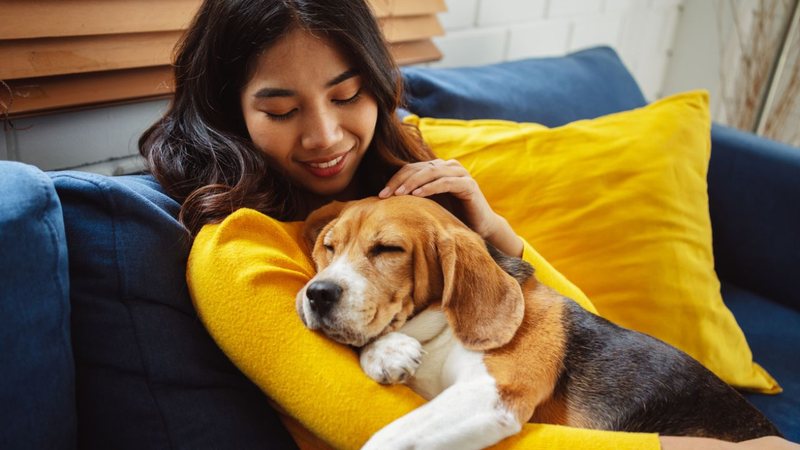 Tem algumas raças de cachorro que adoram um tempo de qualidade e carinho com seus donos. - champpixs / iStock