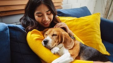 Tem algumas raças de cachorro que adoram um tempo de qualidade e carinho com seus donos. - champpixs / iStock