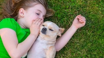 Conheça os estudos sobre as habilidades dos cães. - LUNAMARINA/iStock