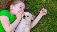 Conheça os estudos sobre as habilidades dos cães. - LUNAMARINA/iStock