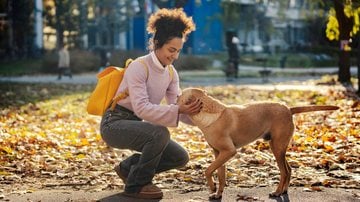 Os cães estão entre os animais mais afetuosos. - dusanpetkovic / iStock