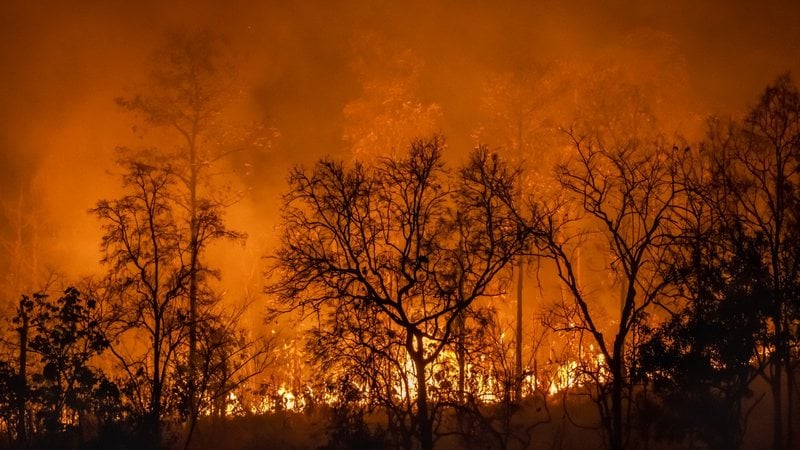 O avanço do fogo preocupa as autoridades e prejudica a vida na cidade atingida. - Toa55 / iStock