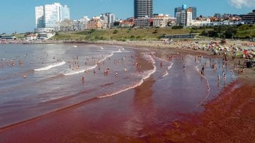 A tonalidade das águas assustou os turistas que aproveitavam o verão na costa argentina. - (Reprodução / DIEGO IZQUIERDO/ AFP/ METSUL