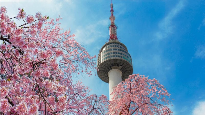 Esses locais podem tornar a sua viagem para a Coreia ainda melhor. - kamponwarit / iStock