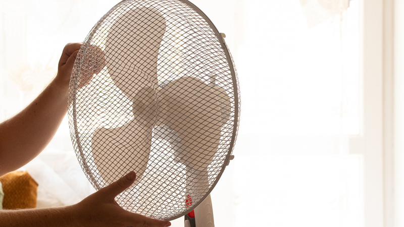 No Brasil, a umidade pode amenizar os riscos, mas atenção é necessária em dias de calor intenso e baixa umidade. - Victoria Kotlyarchuk / istock