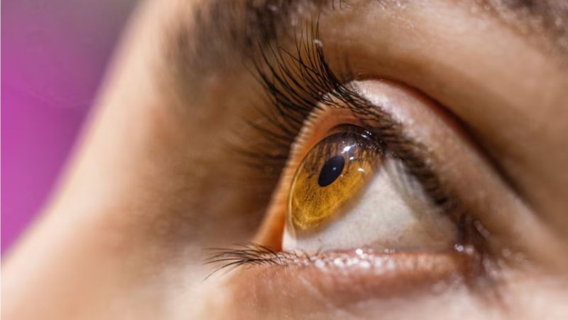 Cuidar da sua visão pode ser algo muito mais simples do que você imagina. - Reprodução / Freepik