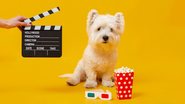 Cachorro com pipoca, óculos 3D e claquete de cinema