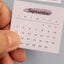 calendário
