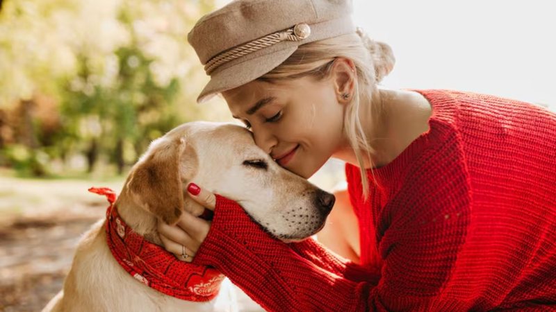 cão e humana interagindo