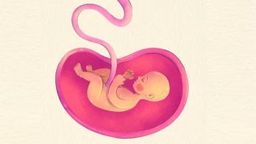 representação de bebe e cordão umbilical