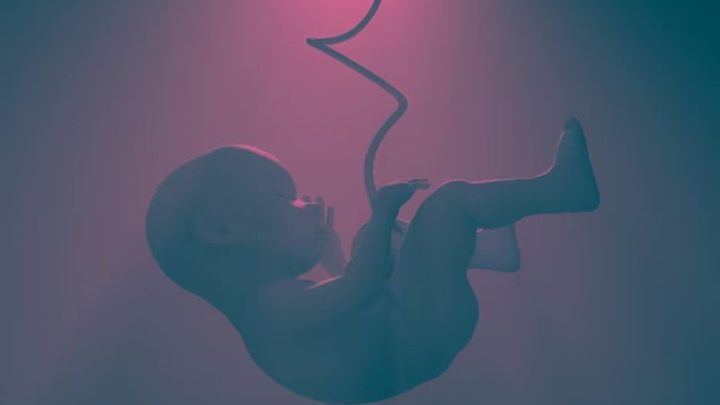 feto com cordão umbilical