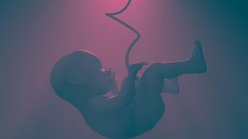 feto com cordão umbilical