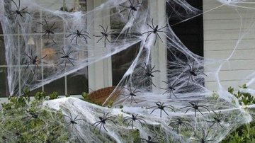 teia de aranha decorativa em frente à casa